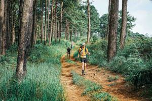 BIB: 
                            <button type="button" onclick="openModal(25659548)" class="btn btn-primary btn-sm float-right btn-popup" data-toggle="modal" data-target=".modal-high-quality">
                        <i class="fas fa-shopping-cart"></i> Add to Cart
                    </button>
                                            <button type="button" onclick="isThisMe(25659548, true)" class="btn btn-success btn-sm float-right btn-popup btn-isme hidden" data-toggle="tooltip" data-placement="bottom" title="นี่คือรูปของคุณใช่ไหม คลิกที่นี่เพื่อเอาเข้าอัลบั้ม">
                        <i class="fas fa-plus"></i> Add to album
                    </button>
                    <button type="button" onclick="isThisMe(25659548, false)" class="btn btn-warning btn-sm float-right btn-popup btn-isnotme hidden">
                        <i class="fas fa-ban"></i> Remove from album
                    </button>